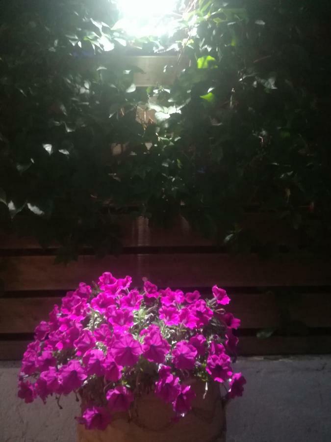 Sole E Mare Family Apartments チィリヴィ エクステリア 写真